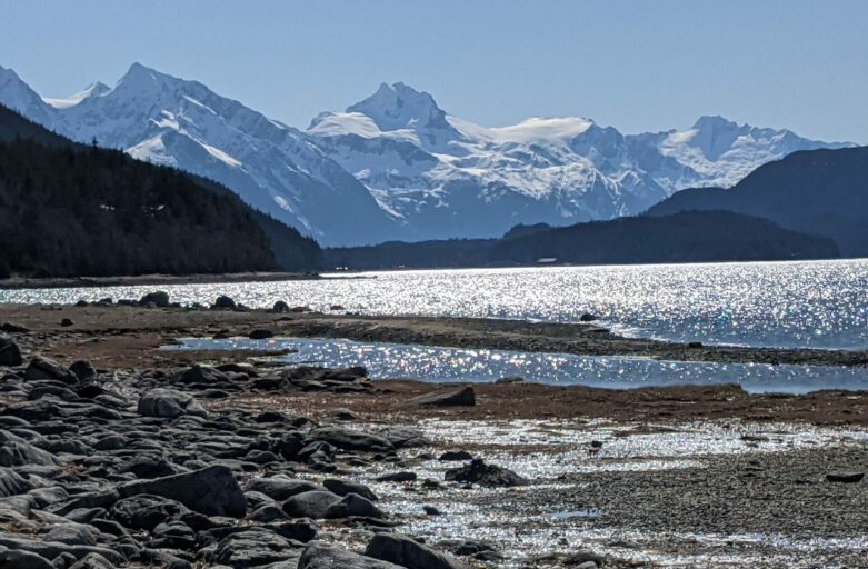 Low Tide at Carr's Cove